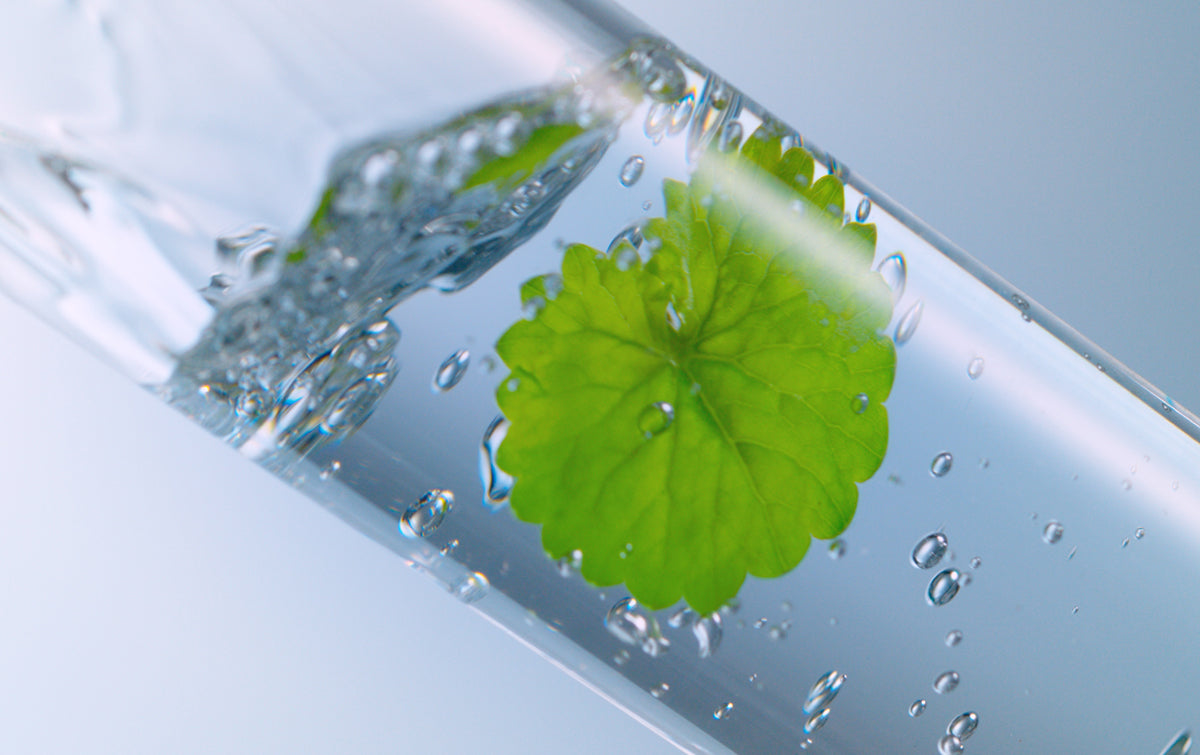 Feuille de BYoungPool Riman® Incellderm®